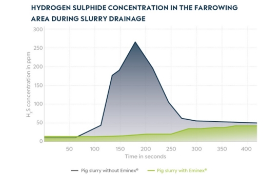Hydrogen sulphide concentration in the farrowing area during slurry