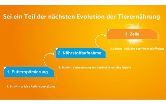 Alzchem 3. Stufen der Tierfütterung auf deutsch