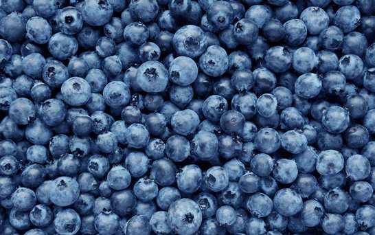 Blaubeeren Nahaufnahme