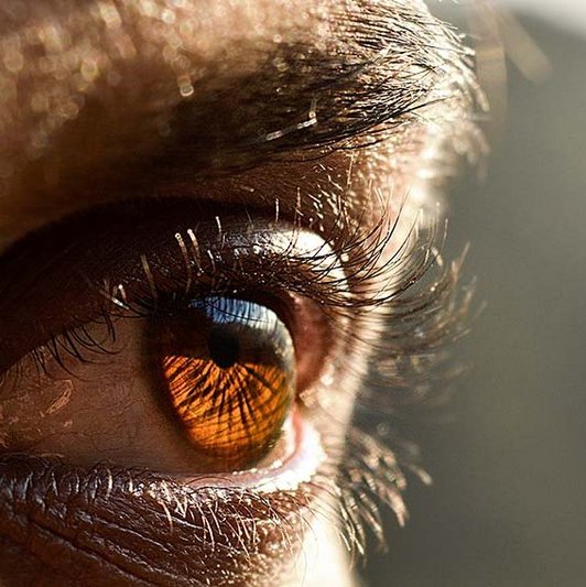 Braunes Auge