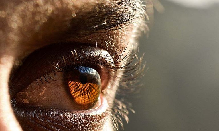 Braunes Auge