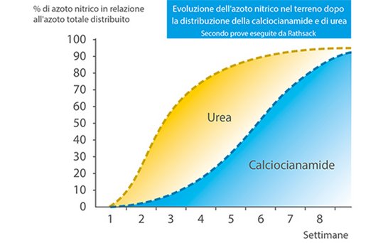 Perlka Diagramm zu Calciumcyanamide auf italienisch 