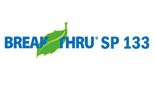 Break Thru SP 133 Logo