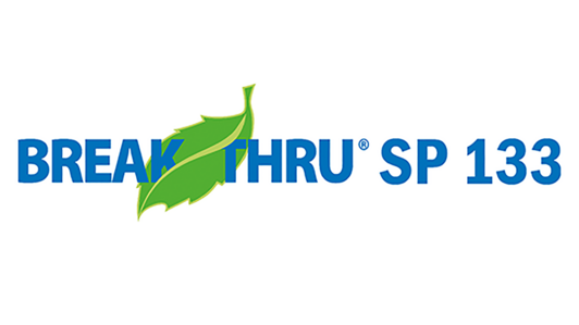 Break Thru SP 133 Logo