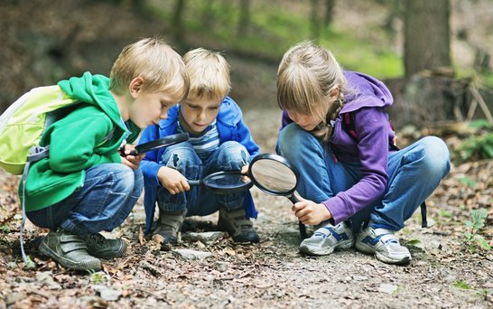 Grundschüler forschen mit Lupen im Wald