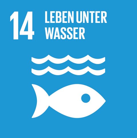 Fisch im Wasser
