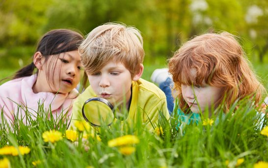 Kindergarten Mädchen und Junge forschen in der Wiese