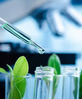 Labor Reagenzglas Pflanzen Pipette Nahaufnahme