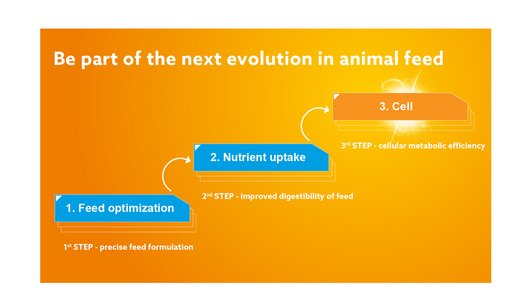 3. Stufen der Tierfütterung