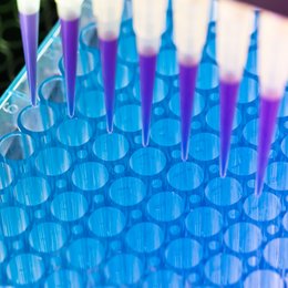 Pipette schwartz