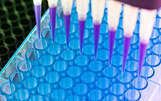 Pipette schwartz