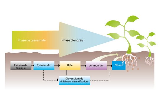 Agro Web Action-Abbau