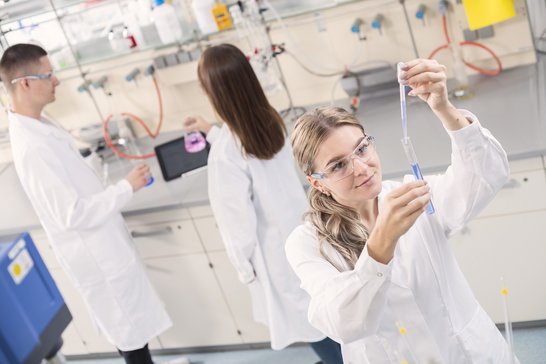 Chemielaboranten im Büro