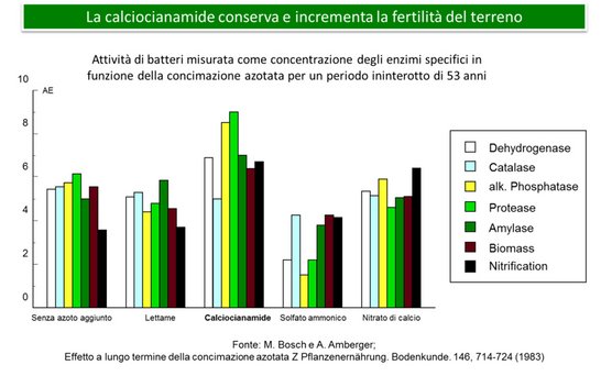 Alzchem Perlka auf italienisch miglioramento della fertilita it