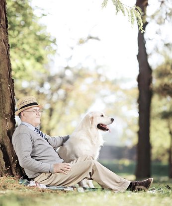 Mann mit Hund lehnen sich am Baum an
