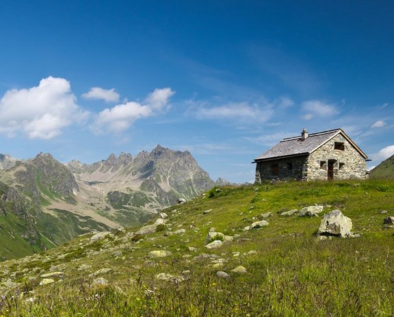 Grüne Wiese in den Bergen und Blick auf die Almhütte