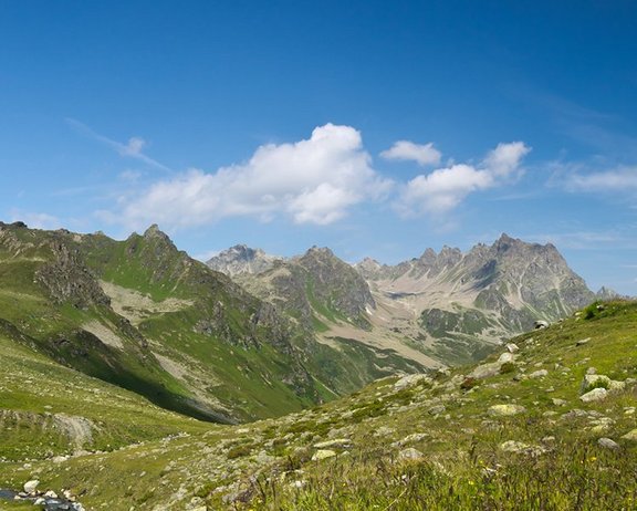 Grüne Wiese in den Bergen und Blick auf die Almhütte