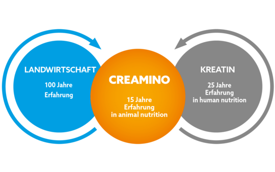 Kreise Landwirtschaft und Kreatin zeigen auf eine Verschmelzung zu Creamino