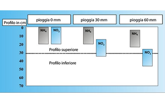 Alzchem  Perlka auf italienisch Rappresentazione schematica it