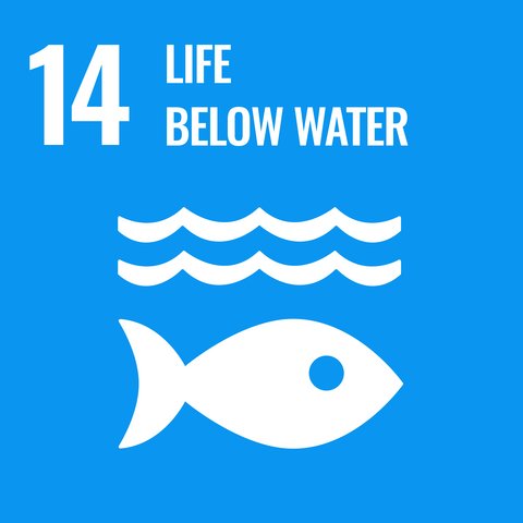 Life Below Water mit Logo auf blauem Hintergrund