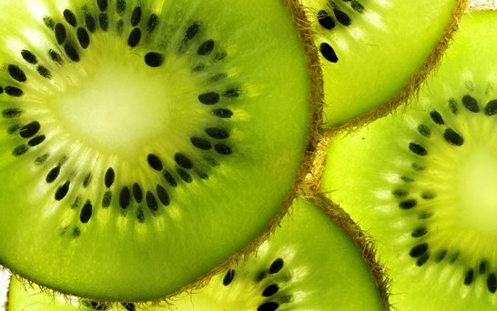 Kiwi Nahaufnahme