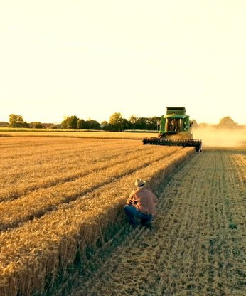 Bauern auf dem Feld Standbild