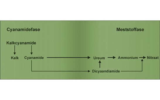 Cyanamidefase Wirkung Landwirtschaft